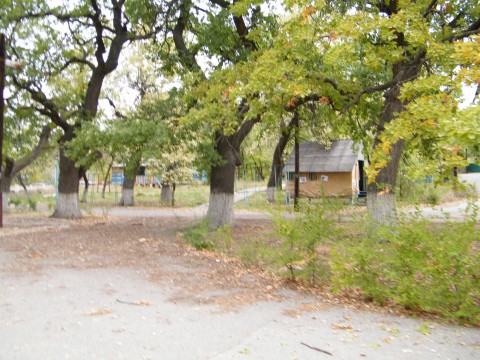 DSCF2947.JPG