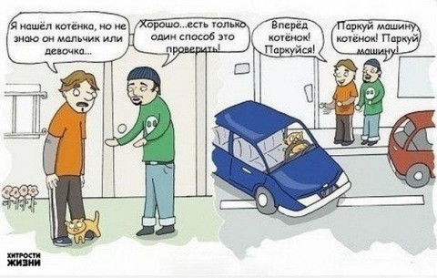 QdurkDfPO9g.jpg