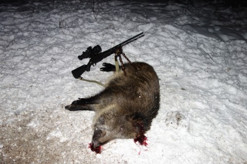 DSC00512a.jpg