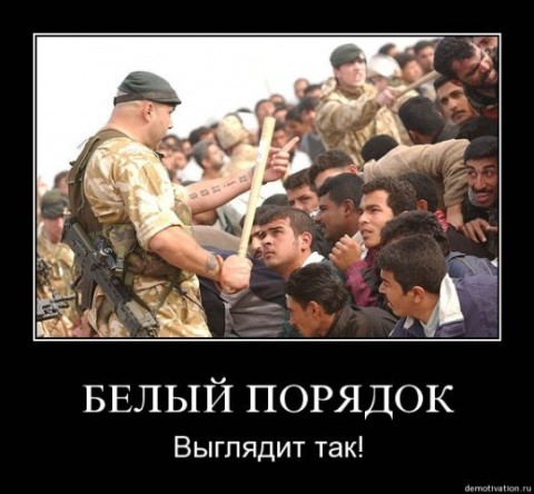 x_7348e27a.jpg