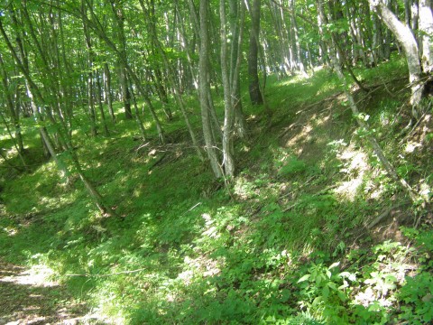P6250722.JPG